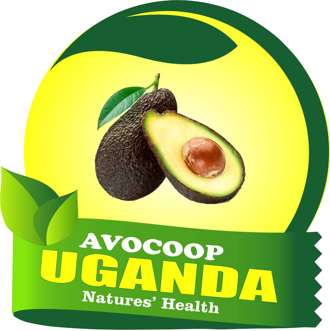 AVOCOOP UGANDA